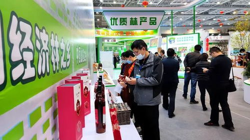 我市积极组织参加第十七届中国林产品交易会 喜获金银奖21项